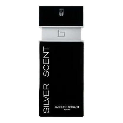 Silver Scent for Men
