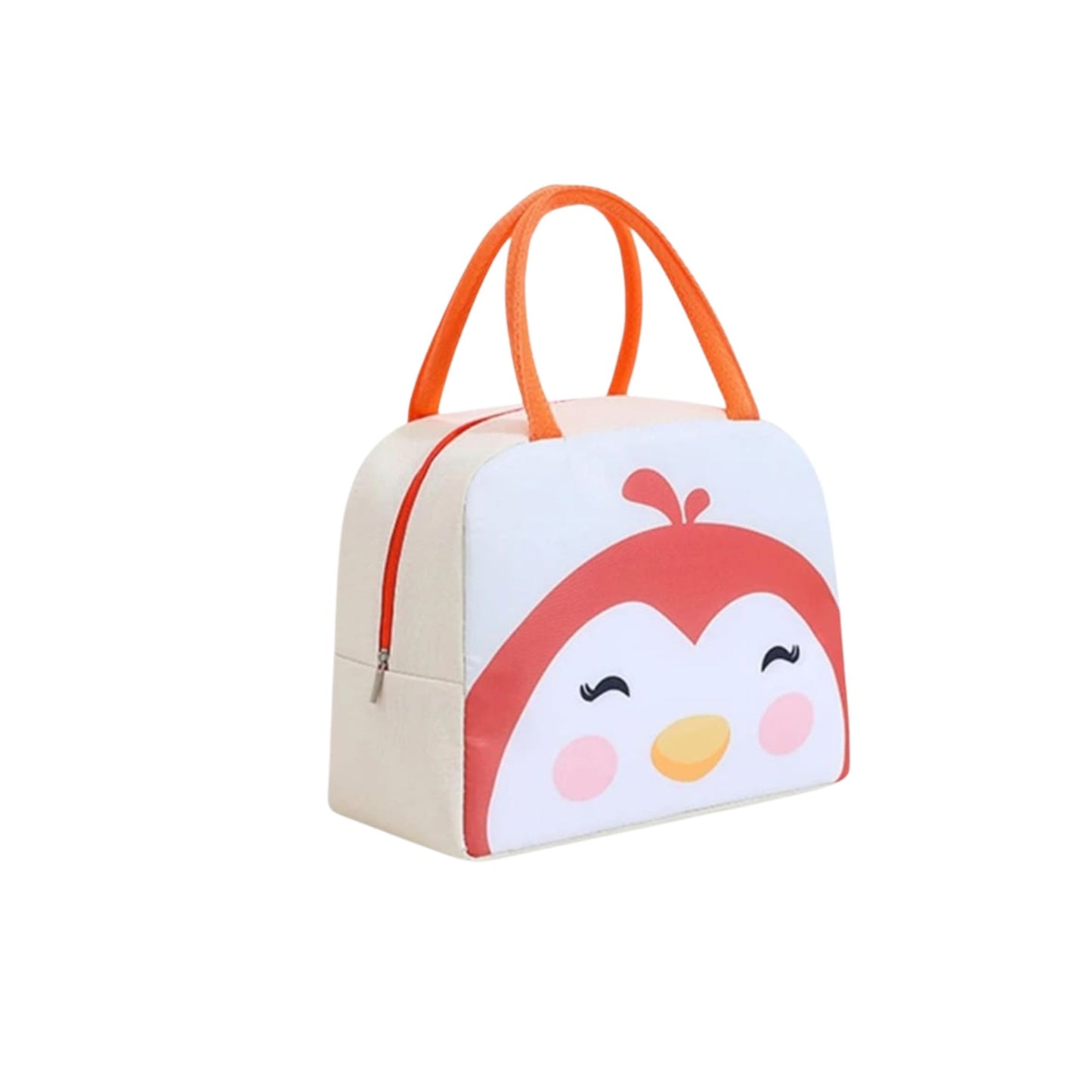 B/G 261 School Lunch Bag